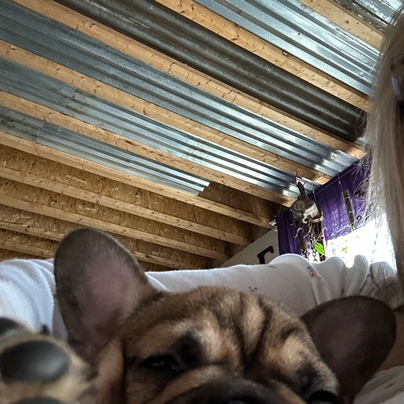 Meet your Posher, Felisa - Picture 5 of 10